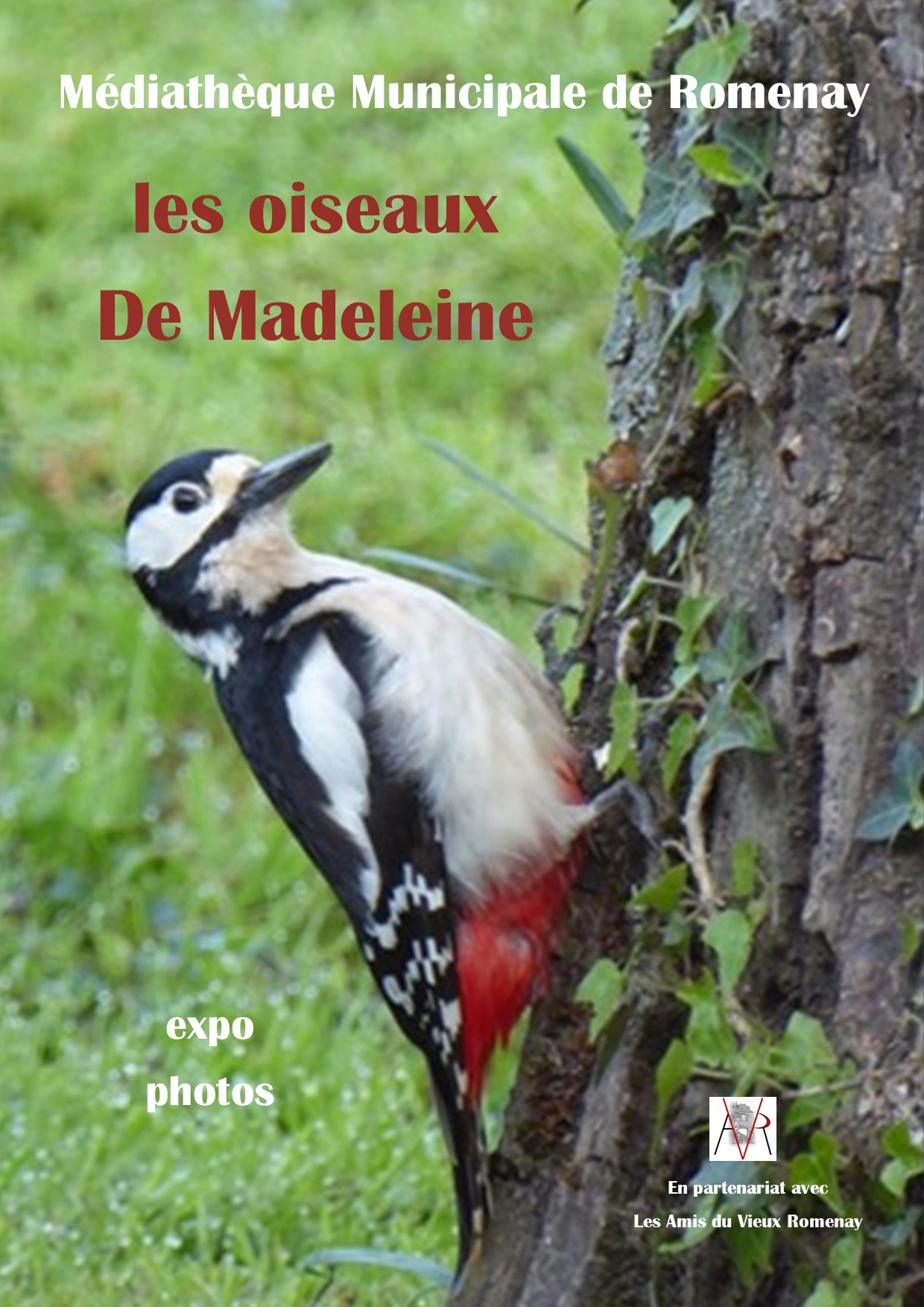 OISEAUX MADELEINE